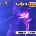 Asid Black Cherry BREAKERZ Hyde LIVE in  武道館  めざましテレビ 2013年1月9日
