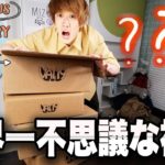 【世界一不思議な福袋】1万円のミステリーボックスを４箱購入したら中身がヤバかった！！