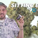 Sitting Bull by HMS (Cannabis Review)