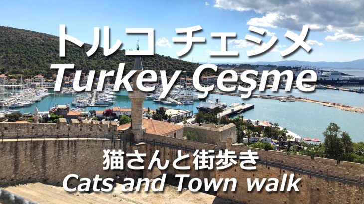 [トルコ チェシメ] 猫さんと街歩きTurkey Çeşme Cats and Town walk