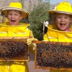 Diana y Roma Aprenden sobre las Abejas, HATTA Honey Bee Garden – Divertido Viaje Familiar