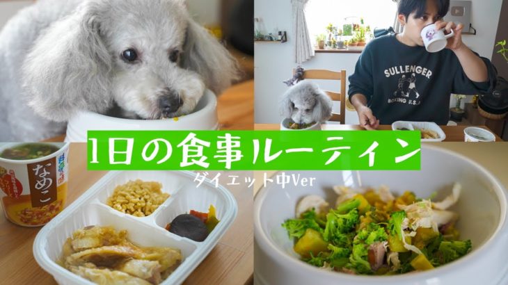 🐶犬と10kg太ったアラサー男のダイエット中の食事ルーティン【トイプードル】