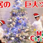 新居で初めてのクリスマス♪巨大ツリーを購入しました！Vlog　himawari-CH