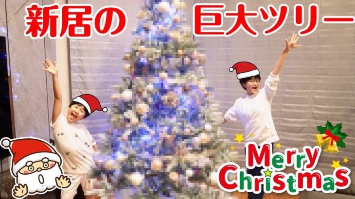 新居で初めてのクリスマス♪巨大ツリーを購入しました！Vlog　himawari-CH