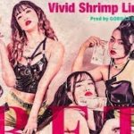 【MV】BET / Vivid Shrimp Line