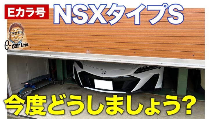 【Eカラ号】NSX タイプS どうしよう😅 E-CarLife with 五味やすたか