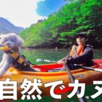 🐶大自然のカヌーで船長気分のトイプードルが可愛いwww【Insta360 GO 3】